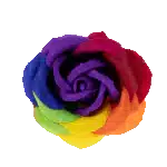 Trandafiri multicolori din sapun, 9 buc/set / CD4080-miez mov inchis - imagine 2