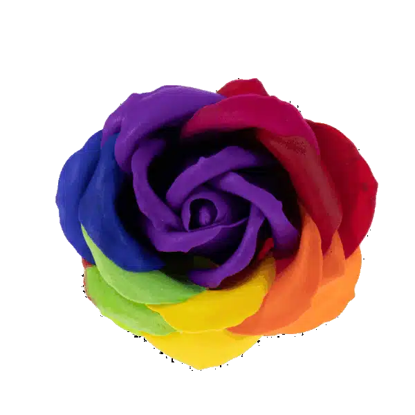Trandafiri multicolori din sapun, 9 buc/set / CD4080-miez mov inchis - imagine 2