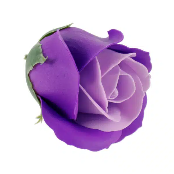 Trandafiri 2 culori din sapun, mov-lila, 50 buc/set / SF003-29 - imagine 2