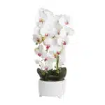 Orhidee cu aspect natural in ghiveci ceramic alb, diametru 22cm, H 70 cm / CD5147_Alb
