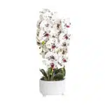 Orhidee cu aspect natural in ghiveci ceramic alb, diametru 22cm, H 70 cm / CD5147_Alb-grena