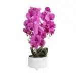 Orhidee cu aspect natural in ghiveci ceramic alb, diametru 22cm, H 70 cm /CD5147_Fucsia