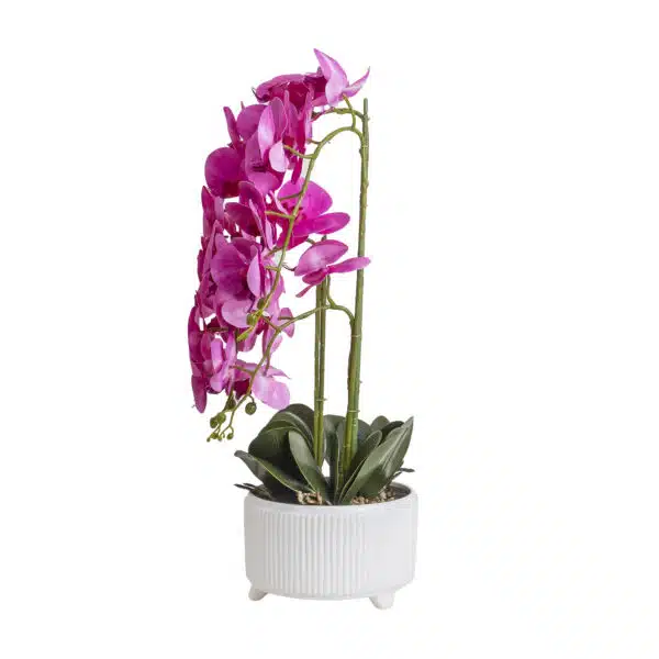 Orhidee cu aspect natural in ghiveci ceramic alb, diametru 22cm, H 70 cm /CD5147_Fucsia - imagine 3