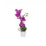 Orhidee cu aspect natural in ghiveci ceramic alb,diametru 7cm, H 34 cm / CD5150_Fucsia