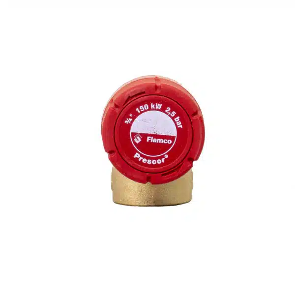 Supapa de siguranta 3/4', 2.5bar / EXT 10820516 - imagine 4