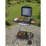 Grătar electric din aluminiu și oțel, putere 3050W, gătire rapidă și uniformă ZILAN / ZLN2502 - imagine 9